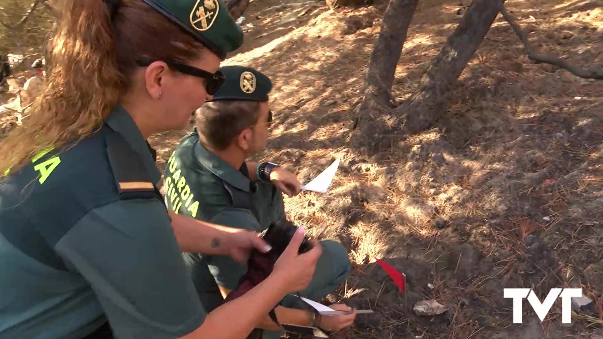 01- SEPRONA Investigación de incendios